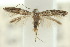  ( - 10ANIC-04803)  @13 [ ] CreativeCommons - Attribution (2010) CBG Photography Group Centre for Biodiversity Genomics