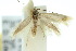  ( - 10ANIC-04823)  @12 [ ] CreativeCommons - Attribution (2010) CBG Photography Group Centre for Biodiversity Genomics