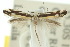  ( - 10ANIC-04827)  @13 [ ] CreativeCommons - Attribution (2010) CBG Photography Group Centre for Biodiversity Genomics