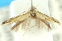  ( - 10ANIC-04945)  @12 [ ] CreativeCommons - Attribution (2010) CBG Photography Group Centre for Biodiversity Genomics