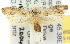  ( - 10ANIC-05052)  @14 [ ] CreativeCommons - Attribution (2010) CBG Photography Group Centre for Biodiversity Genomics