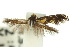  ( - 10ANIC-05104)  @11 [ ] CreativeCommons - Attribution (2010) CBG Photography Group Centre for Biodiversity Genomics