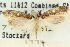  ( - 10ANIC-05326)  @11 [ ] CreativeCommons - Attribution (2010) CBG Photography Group Centre for Biodiversity Genomics