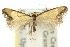  ( - 10ANIC-05354)  @11 [ ] CreativeCommons - Attribution (2010) CBG Photography Group Centre for Biodiversity Genomics