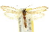  ( - 10ANIC-05395)  @11 [ ] CreativeCommons - Attribution (2010) CBG Photography Group Centre for Biodiversity Genomics