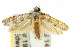  ( - 10ANIC-05410)  @14 [ ] CreativeCommons - Attribution (2010) CBG Photography Group Centre for Biodiversity Genomics