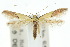  ( - 10ANIC-05454)  @14 [ ] CreativeCommons - Attribution (2010) CBG Photography Group Centre for Biodiversity Genomics