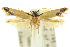  ( - 10ANIC-05467)  @14 [ ] CreativeCommons - Attribution (2010) CBG Photography Group Centre for Biodiversity Genomics