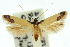  ( - 10ANIC-05468)  @14 [ ] CreativeCommons - Attribution (2010) CBG Photography Group Centre for Biodiversity Genomics