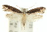  ( - 10ANIC-05470)  @15 [ ] CreativeCommons - Attribution (2010) CBG Photography Group Centre for Biodiversity Genomics