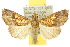  ( - 10ANIC-05634)  @14 [ ] CreativeCommons - Attribution (2010) CBG Photography Group Centre for Biodiversity Genomics