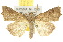  ( - 10ANIC-05641)  @14 [ ] CreativeCommons - Attribution (2010) CBG Photography Group Centre for Biodiversity Genomics