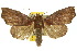  ( - 10ANIC-05659)  @15 [ ] CreativeCommons - Attribution (2010) CBG Photography Group Centre for Biodiversity Genomics