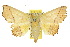  ( - 10ANIC-05665)  @15 [ ] CreativeCommons - Attribution (2010) CBG Photography Group Centre for Biodiversity Genomics