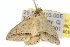  ( - 10ANIC-05769)  @13 [ ] CreativeCommons - Attribution (2010) CBG Photography Group Centre for Biodiversity Genomics