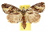  ( - 10ANIC-05836)  @15 [ ] CreativeCommons - Attribution (2010) CBG Photography Group Centre for Biodiversity Genomics
