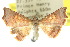  ( - 10ANIC-06176)  @14 [ ] CreativeCommons - Attribution (2010) CBG Photography Group Centre for Biodiversity Genomics