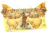  ( - 10ANIC-06181)  @14 [ ] CreativeCommons - Attribution (2010) CBG Photography Group Centre for Biodiversity Genomics