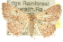  ( - 10ANIC-06223)  @13 [ ] CreativeCommons - Attribution (2010) CBG Photography Group Centre for Biodiversity Genomics