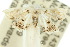  ( - 10ANIC-06495)  @11 [ ] CreativeCommons - Attribution (2010) CBG Photography Group Centre for Biodiversity Genomics