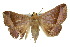  ( - 10ANIC-06598)  @14 [ ] CreativeCommons - Attribution (2010) CBG Photography Group Centre for Biodiversity Genomics