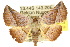  ( - 10ANIC-06793)  @15 [ ] CreativeCommons - Attribution (2010) CBG Photography Group Centre for Biodiversity Genomics