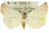  ( - 10ANIC-06812)  @14 [ ] CreativeCommons - Attribution (2010) CBG Photography Group Centre for Biodiversity Genomics