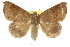  ( - 10ANIC-07148)  @14 [ ] CreativeCommons - Attribution (2010) CBG Photography Group Centre for Biodiversity Genomics