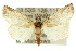  ( - 10ANIC-07643)  @14 [ ] CreativeCommons - Attribution (2010) CBG Photography Group Centre for Biodiversity Genomics