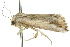  ( - 10ANIC-07680)  @13 [ ] CreativeCommons - Attribution (2010) CBG Photography Group Centre for Biodiversity Genomics