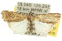  ( - 10ANIC-07737)  @15 [ ] CreativeCommons - Attribution (2010) CBG Photography Group Centre for Biodiversity Genomics