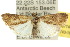  ( - 10ANIC-07740)  @15 [ ] CreativeCommons - Attribution (2010) CBG Photography Group Centre for Biodiversity Genomics