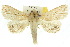  ( - 10ANIC-08109)  @14 [ ] CreativeCommons - Attribution (2010) CBG Photography Group Centre for Biodiversity Genomics