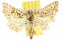  ( - 10ANIC-08297)  @14 [ ] CreativeCommons - Attribution (2010) CBG Photography Group Centre for Biodiversity Genomics