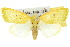  ( - 10ANIC-08551)  @14 [ ] CreativeCommons - Attribution (2010) CBG Photography Group Centre for Biodiversity Genomics
