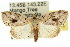  ( - 10ANIC-08615)  @14 [ ] CreativeCommons - Attribution (2010) CBG Photography Group Centre for Biodiversity Genomics