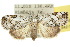  ( - 10ANIC-08639)  @15 [ ] CreativeCommons - Attribution (2010) CBG Photography Group Centre for Biodiversity Genomics