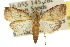  ( - 10ANIC-08669)  @14 [ ] CreativeCommons - Attribution (2010) CBG Photography Group Centre for Biodiversity Genomics