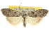  ( - 10ANIC-08759)  @15 [ ] CreativeCommons - Attribution (2010) CBG Photography Group Centre for Biodiversity Genomics