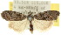  ( - 10ANIC-08766)  @11 [ ] CreativeCommons - Attribution (2010) CBG Photography Group Centre for Biodiversity Genomics
