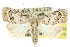 (Nola fasciata - 10ANIC-08834)  @15 [ ] CreativeCommons - Attribution (2010) CBG Photography Group Centre for Biodiversity Genomics