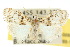 ( - 10ANIC-08885)  @15 [ ] CreativeCommons - Attribution (2010) CBG Photography Group Centre for Biodiversity Genomics