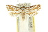  ( - 10ANIC-08966)  @14 [ ] CreativeCommons - Attribution (2010) CBG Photography Group Centre for Biodiversity Genomics