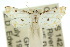  ( - 10ANIC-08983)  @15 [ ] CreativeCommons - Attribution (2010) CBG Photography Group Centre for Biodiversity Genomics