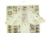  ( - 10ANIC-08984)  @13 [ ] CreativeCommons - Attribution (2010) CBG Photography Group Centre for Biodiversity Genomics