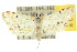  ( - 10ANIC-08990)  @14 [ ] CreativeCommons - Attribution (2010) CBG Photography Group Centre for Biodiversity Genomics