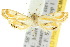  ( - 10ANIC-09064)  @11 [ ] CreativeCommons - Attribution (2010) CBG Photography Group Centre for Biodiversity Genomics