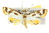  ( - 10ANIC-09068)  @14 [ ] CreativeCommons - Attribution (2010) CBG Photography Group Centre for Biodiversity Genomics