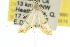  ( - 10ANIC-09080)  @13 [ ] CreativeCommons - Attribution (2010) CBG Photography Group Centre for Biodiversity Genomics