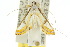  ( - 10ANIC-09081)  @14 [ ] CreativeCommons - Attribution (2010) CBG Photography Group Centre for Biodiversity Genomics